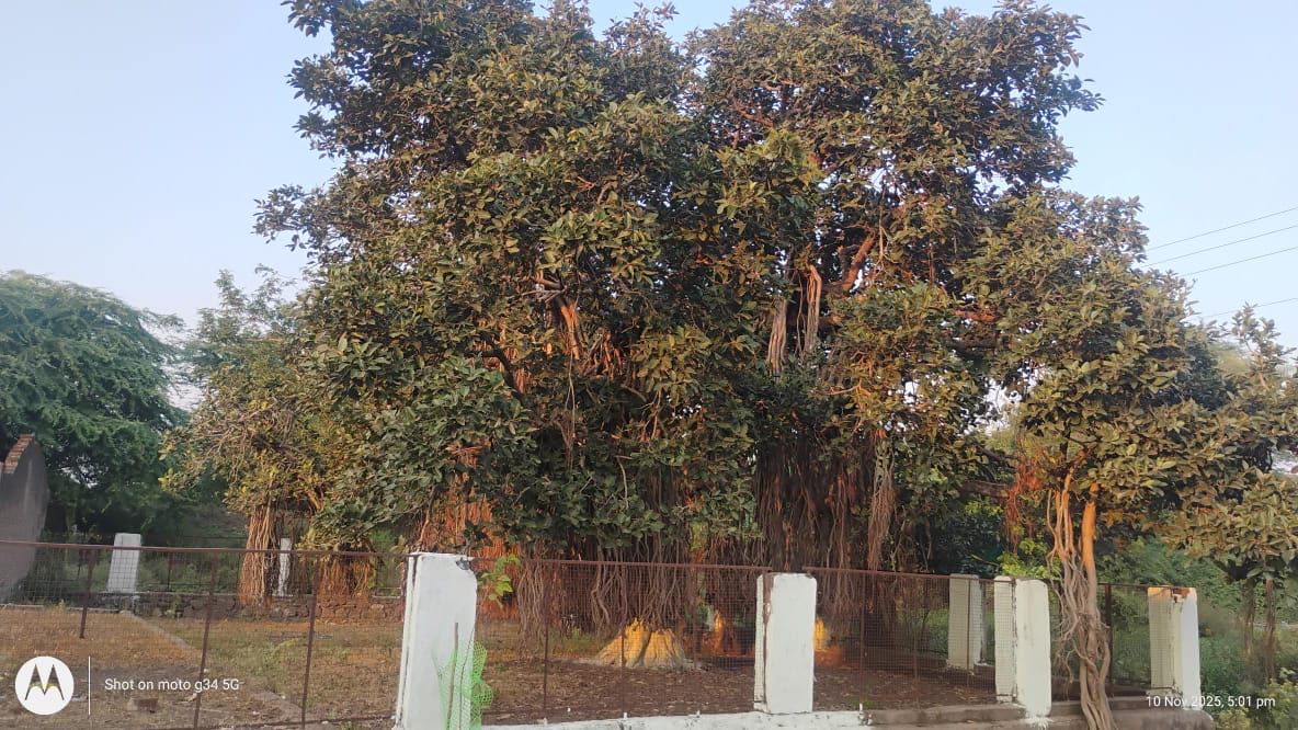 Village Event Photo 3